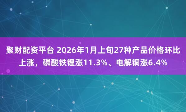 聚财配资平台 2026年1月上旬27种产品价格环比上涨，磷酸铁锂涨11.3%、电解铜涨6.4%